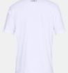 Immagine di M-T SHIRT team