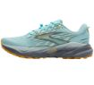 Brooks Cascadia 19