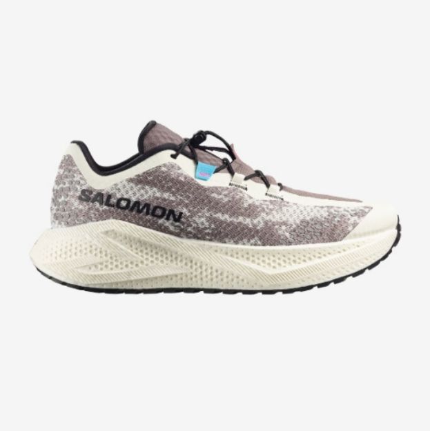 salomon Aero Glide 4 gravel