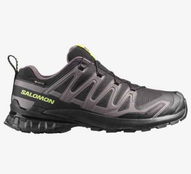 Salomon XA Pro 3D V9 GTX