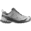 Salomon XA Pro 3D V9 GTX