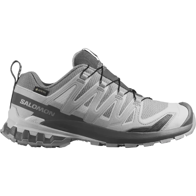 Salomon XA Pro 3D V9 GTX