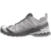 Salomon XA Pro 3D V9 GTX