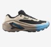 Salomon Genesis 2 GTX