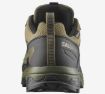 Salomon X Ultra 5 GTX